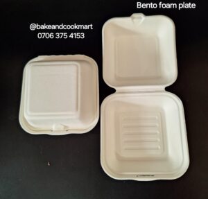 20250325_121048 Foam Bento plate