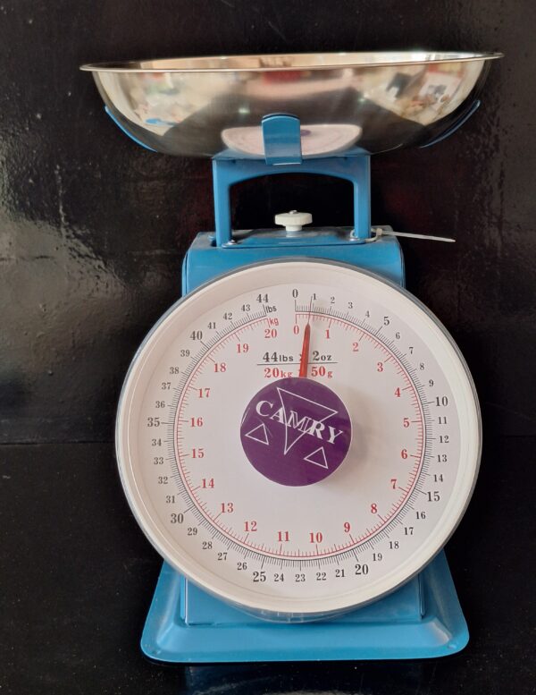 Camry Analog 20kg scale