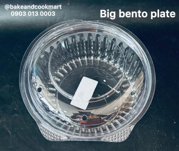 IMG_2202 Big bento plate