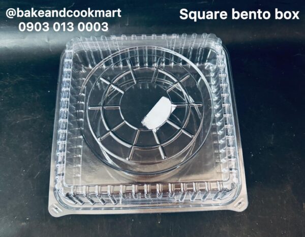 IMG_2203 Square bento box