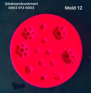 Mold 12