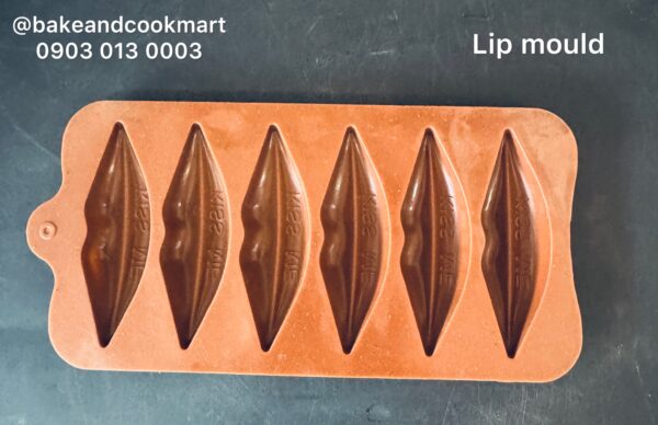 Lip mold