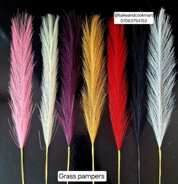 1f29ad07-1770-4642-ba78-b7013892f5c5 Grass pampers flower