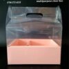 4e3972b3-715b-4e5a-904c-1d30d97fb164 Multipurpose clear box
