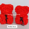 25cm Teddy bear with box