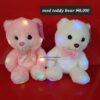 Med Teddy bear