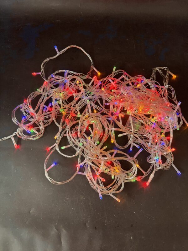 IMG_1530 Christmas light