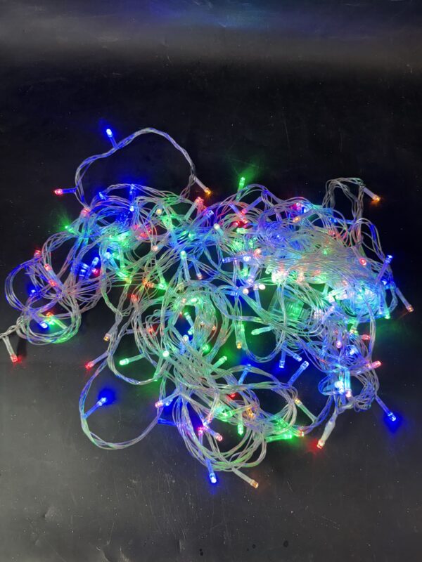 IMG_1531 Christmas light